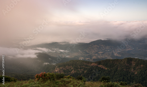 fog in morning at kew mae pan viewpoint hill