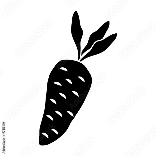 silhouette healthy carrot vegetable food taste