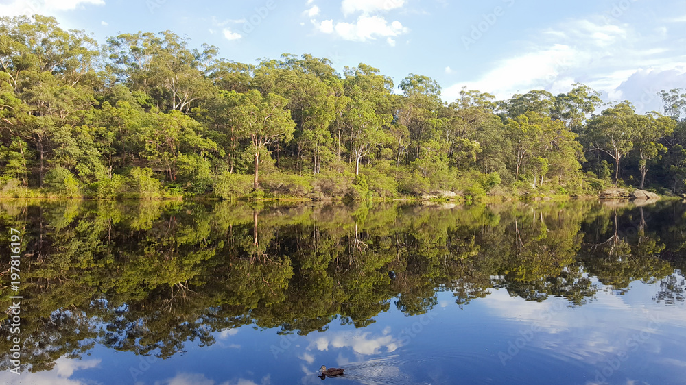 Fototapeta premium Lake Reflection
