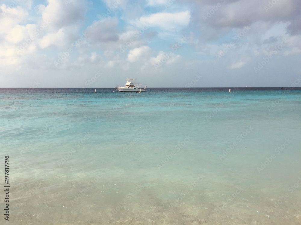 boat on ocean landscape  near beach