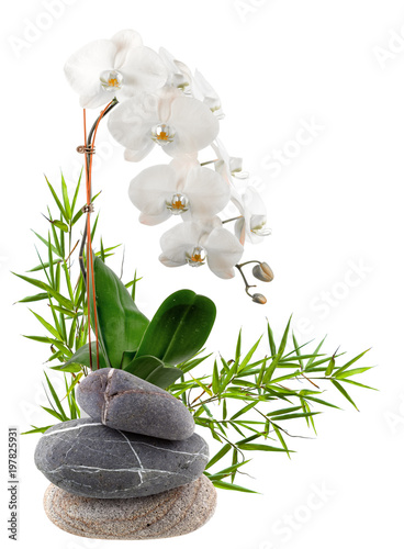composition florale, bambou, orchidée, galets 