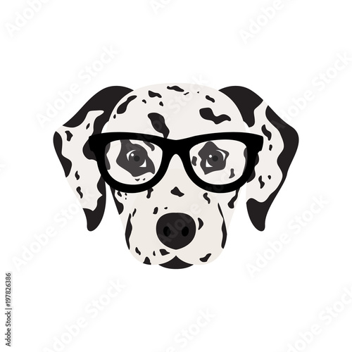 Dalmatian dog in glasses. Cute dog vector illustration.