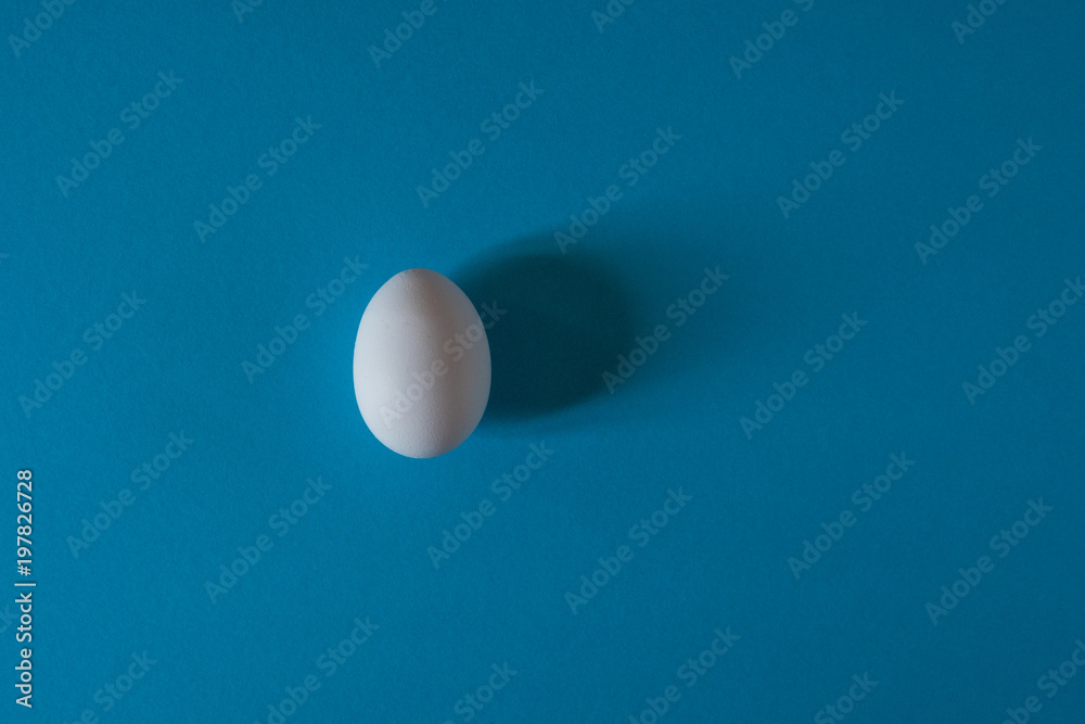 White egg on a blue background top view White egg on a blue background top view