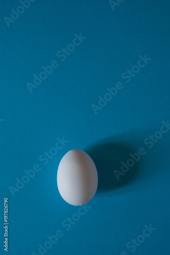White egg on a blue background top view