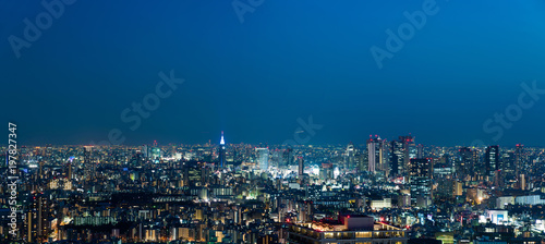  東京の夜景パノラマ