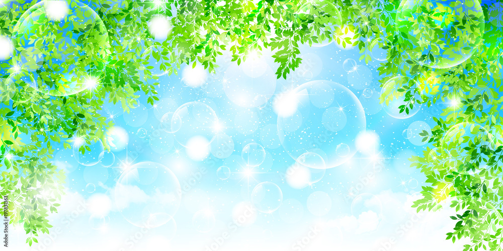 Naklejka premium 新緑 葉 風景 背景