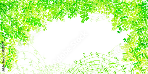 新緑　葉　風景　背景