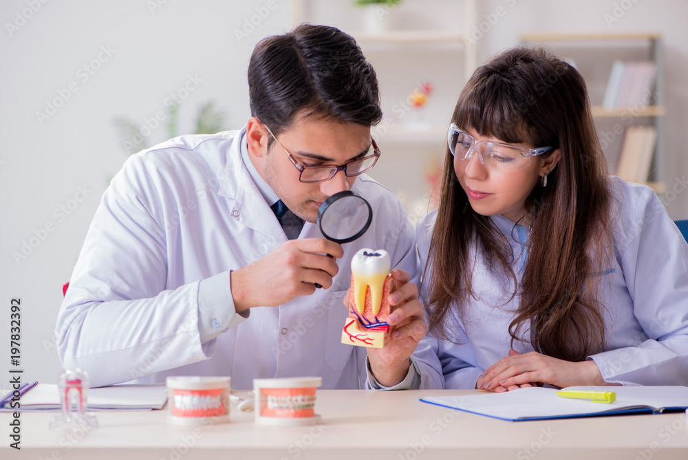 Dentist explaining student tooth structure