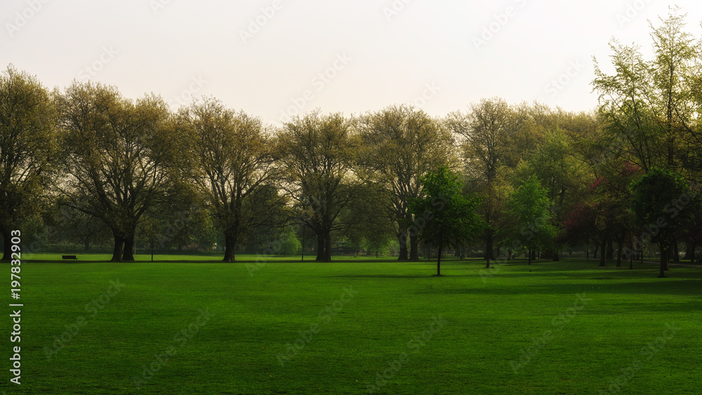 green field with old trees in background