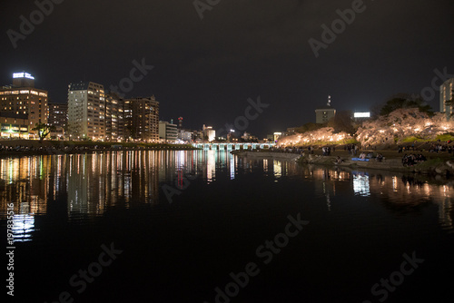 夜桜