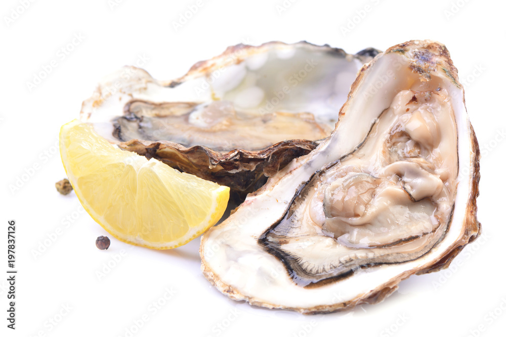 Fresh oyster