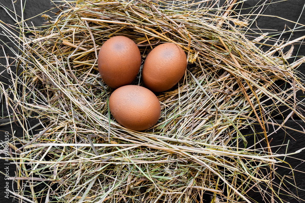 Three Brown Chicken Eggs in Hay Nest Three Brown Chicken Eggs in Hay Nest