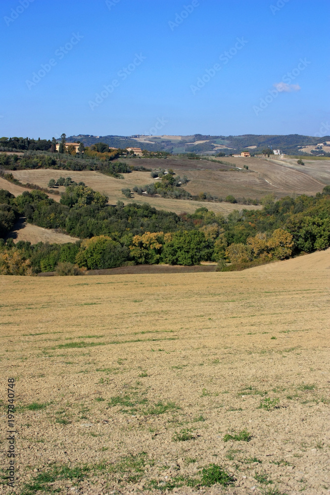 Fototapeta premium Plowed fields in Tuscany, Italy