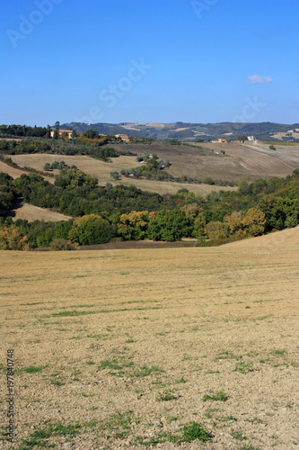 Plowed fields in Tuscany, Italy