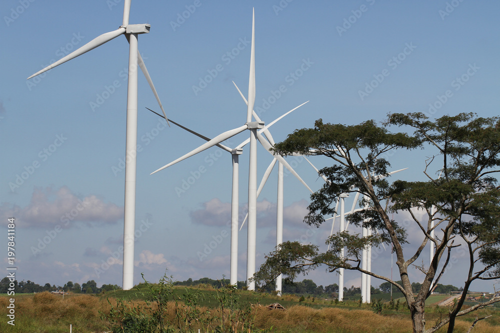 wind turbine on clear blue sky, Renewable electricity Energy, sustainable conservation power development concept on green field, environment friendly background, wallpaper wind turbine on clear blue sky, Renewable electricity Energy, sustainable conservation power development concept on green field, environment friendly background, wallpaper