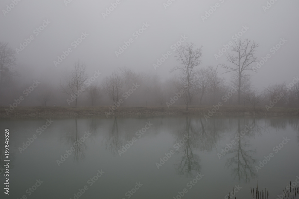 Fototapeta premium Landscape with misty morning fog in the Forest Lake or Beautiful forest lake in the morning at winter time. Azerbaijan nature.