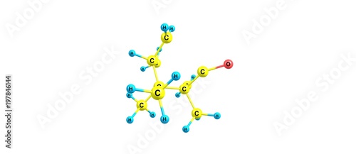 Camphor molecular structure isolated on white background