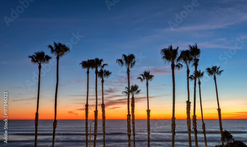 Orange sunset over the ocean with palms