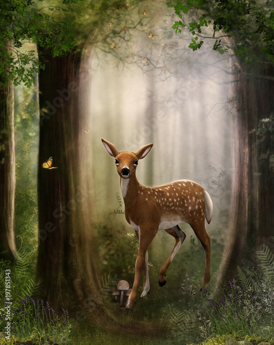 Roe Deer Fawn in an Enchanting Forest photo