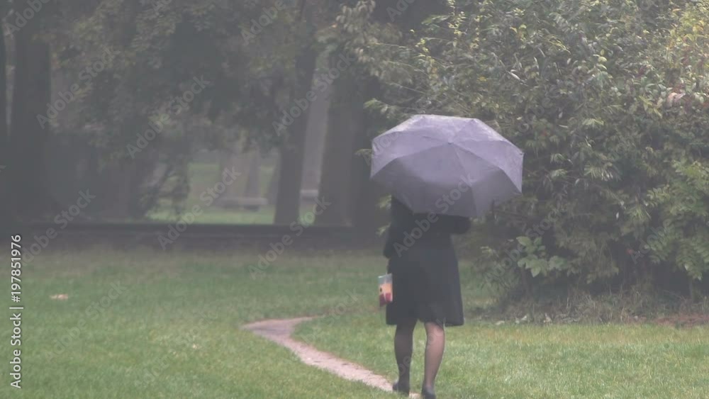 Girl walking in a park holding an umbrella, filmed from behind. Girl walking in a park holding an umbrella, filmed from behind.