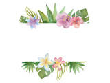 Watercolour banner with tropical plants on white background.