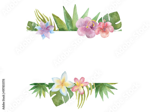 Watercolour banner with tropical plants on white background.
