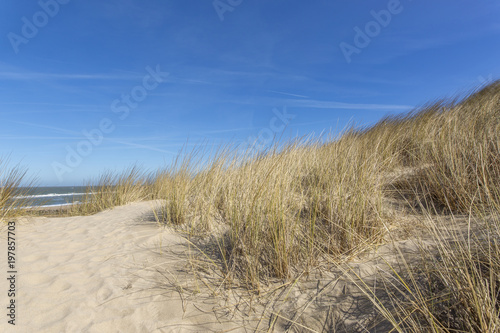 Fototapeta Naklejka Na Ścianę i Meble -  View from Grass Dunes towards Domburg Beach and North Sea / Netherlands