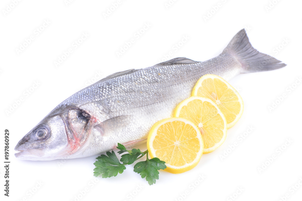 Fototapeta premium Sea fish on a white background