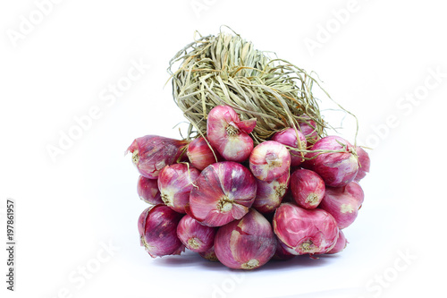 Onion isolated food vegetable on white background 