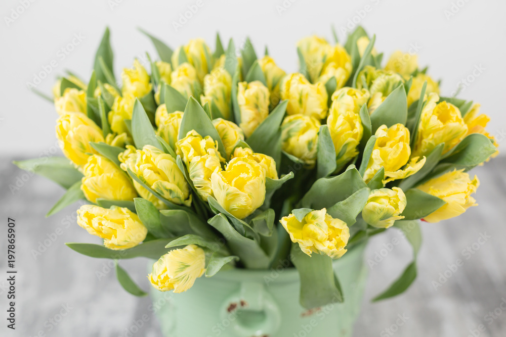 Tulips of yellow color in green vase. Big buds of multicoloured tulips. Floral natural backdrop. Bicolour tulips filled picture. Unusual flowers, unlike the others. type of flower parrot Tulips of yellow color in green vase. Big buds of multicoloured tulips. Floral natural backdrop. Bicolour tulips filled picture. Unusual flowers, unlike the others. type of flower parrot