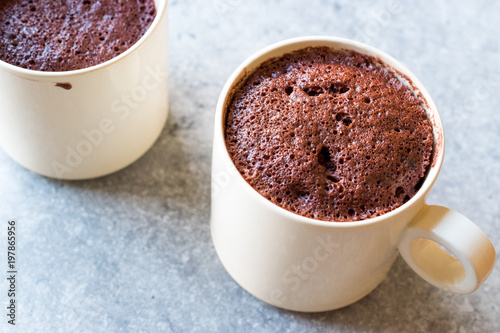 Microwave Brownie Chocolate Mug Cake Ready to Eat.