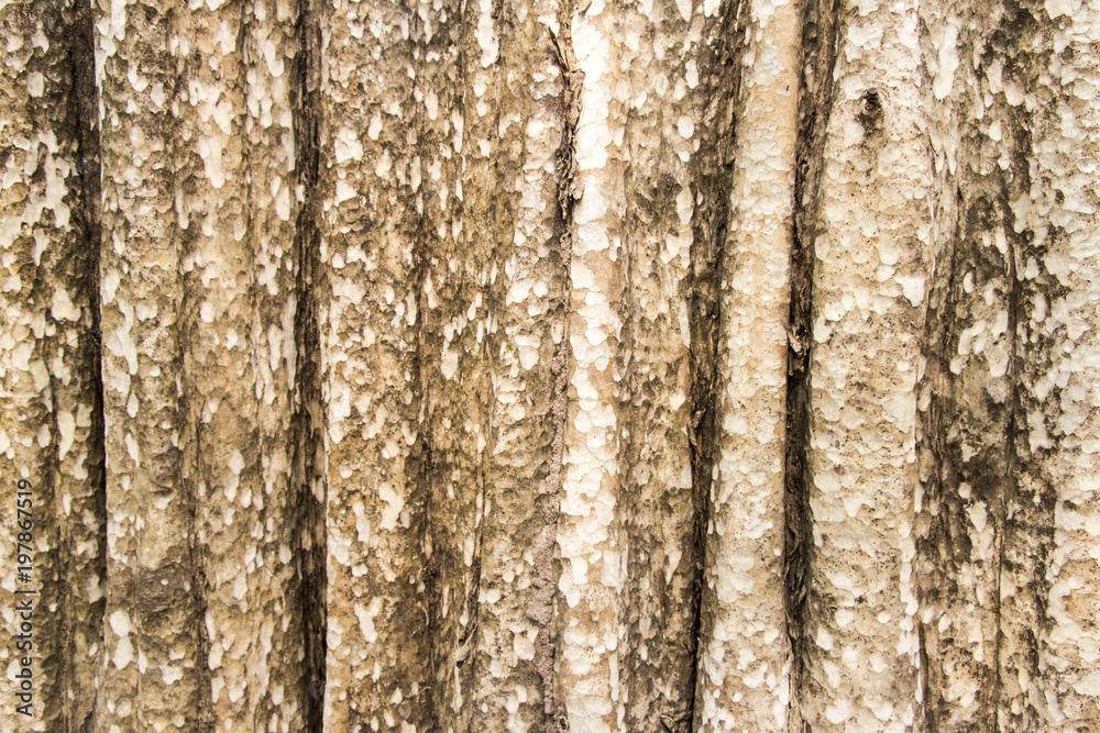 tree bark texture background 