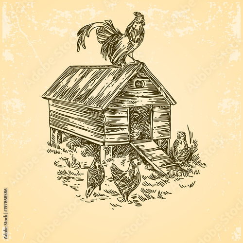 Poultry farm. Chicken coop with rooster and hens. Engraving style. Vector illustration.