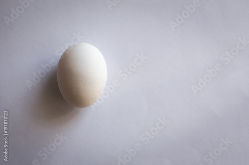 White egg on white background.
