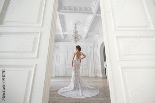 Tela Beautiful bride posing in wedding dress in a white photo Studio