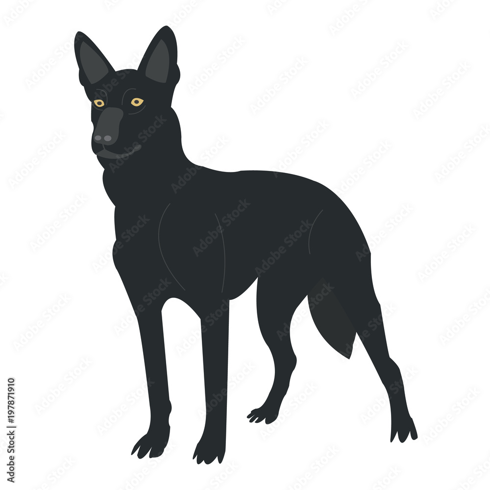 Black dog on white background