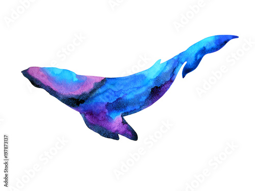big whale watercolor painting hand drawn illustration design