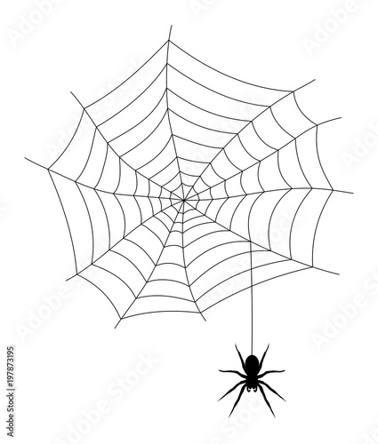 Spinnennetz Silhouette