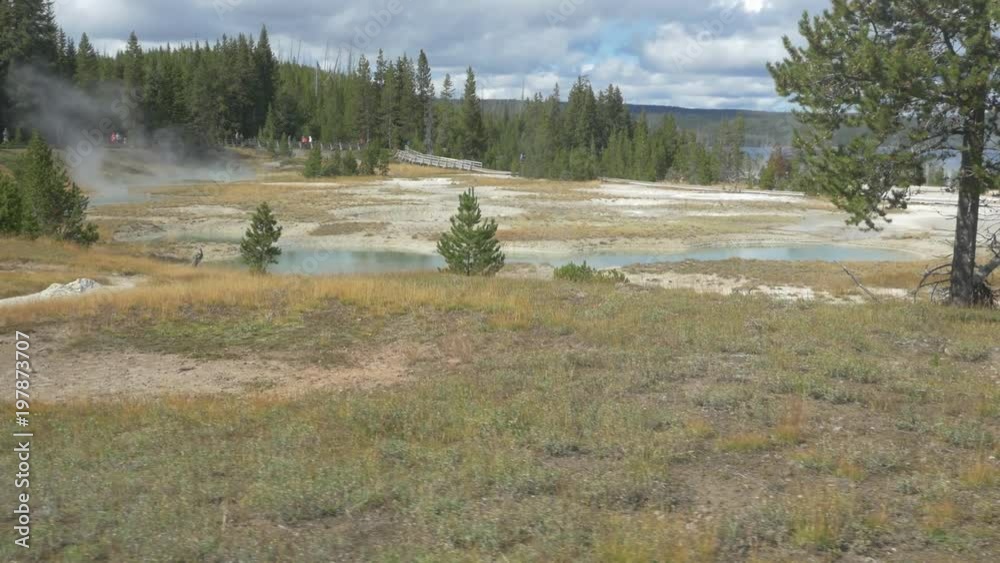 Yellowstone National Park, USA Yellowstone National Park, USA