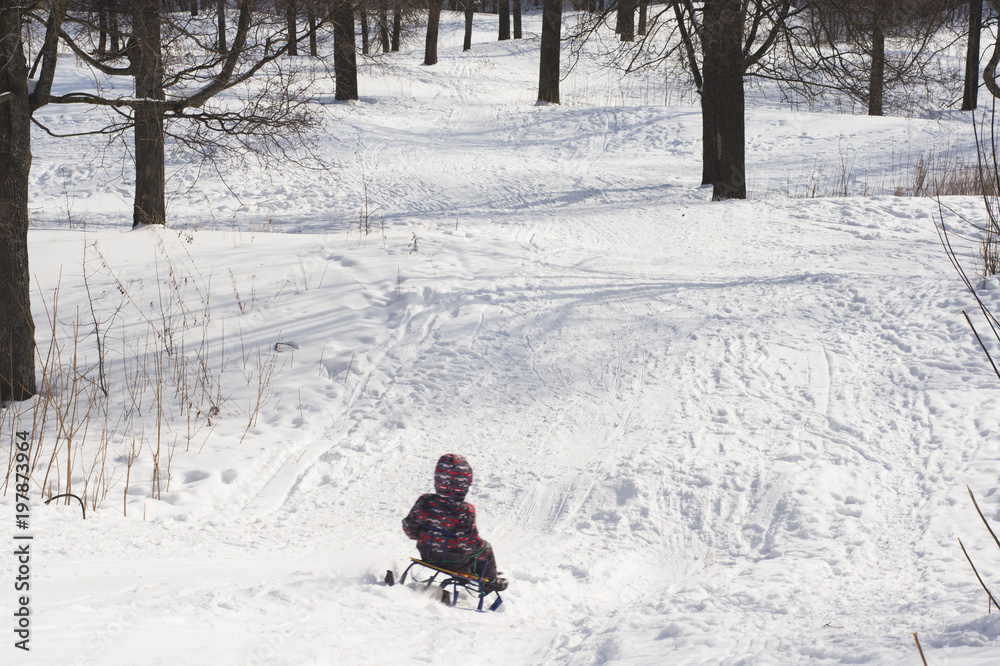 child slipping on a toboggan from a hill in the winter forest.  copyspace