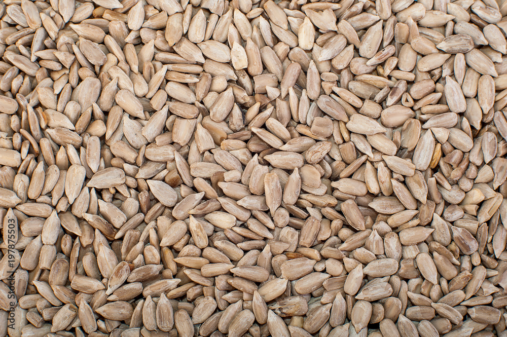Sunflower seeds close up. Macro. Whole background. Sunflower seeds close up. Macro. Whole background.
