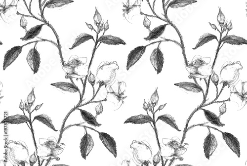 Seamless pattern made of pencil sketched rose branch