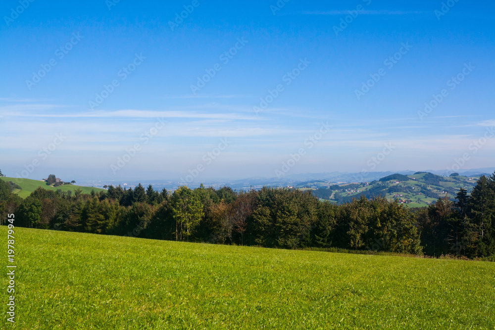 Obraz premium Meadows in the Austrian Alps