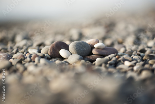Sea pebbles. Marine background.