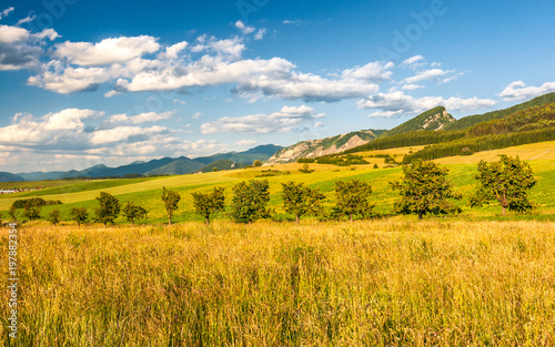 Fields and meadows in rural landscape with mountains at spring period.