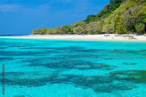 Rok wyspa, piękna natura wyspa w Tajlandii Krabi