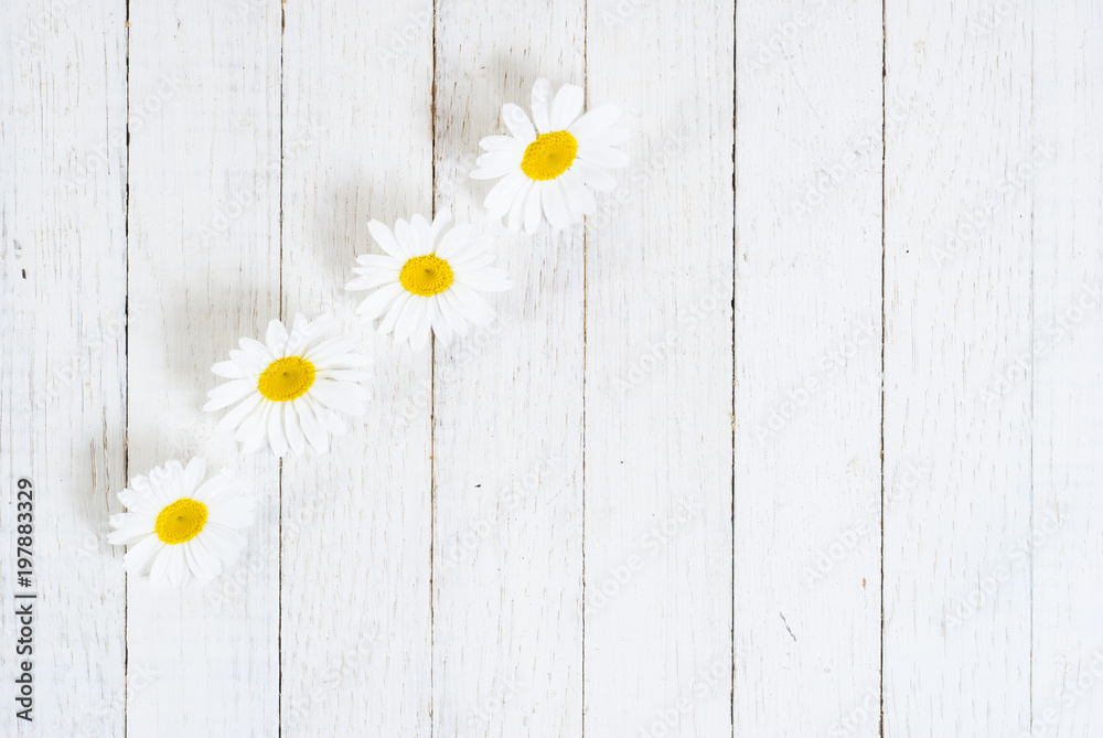 Obraz premium Flowers on white wood table background