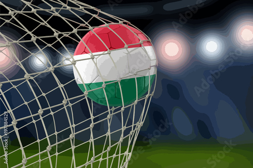 Hungarian soccerball in net