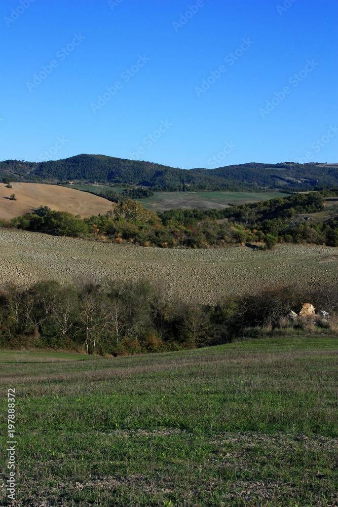 Cultivated fields in Tuscany, Italy