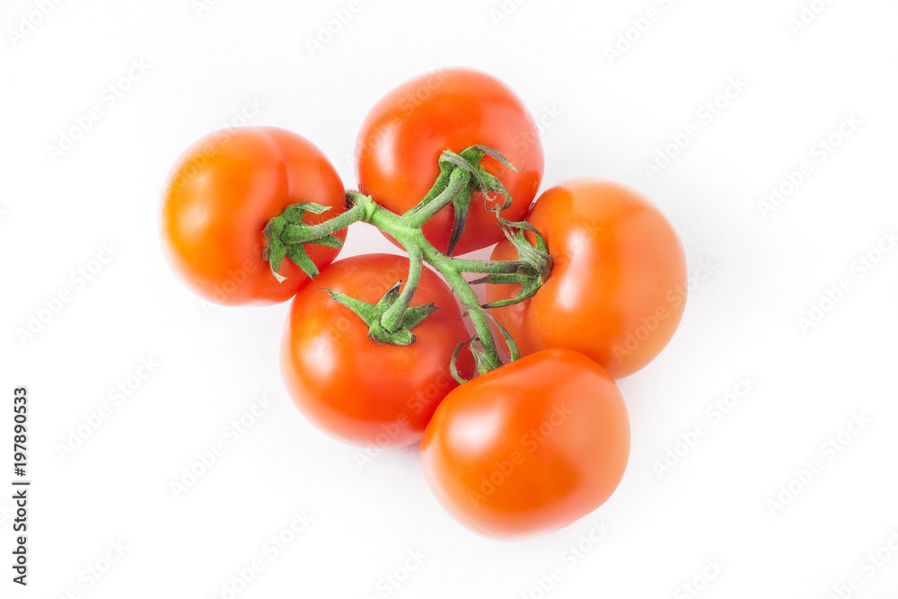 fresh tomatoes with green leaves isolated on white background fresh tomatoes with green leaves isolated on white background